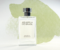 Aquarela do Brasil Bromélia Botanicus - REBRANDED